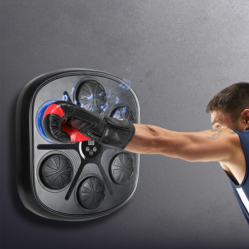 Centra Punching Box With 12 OZ Boxing Glove